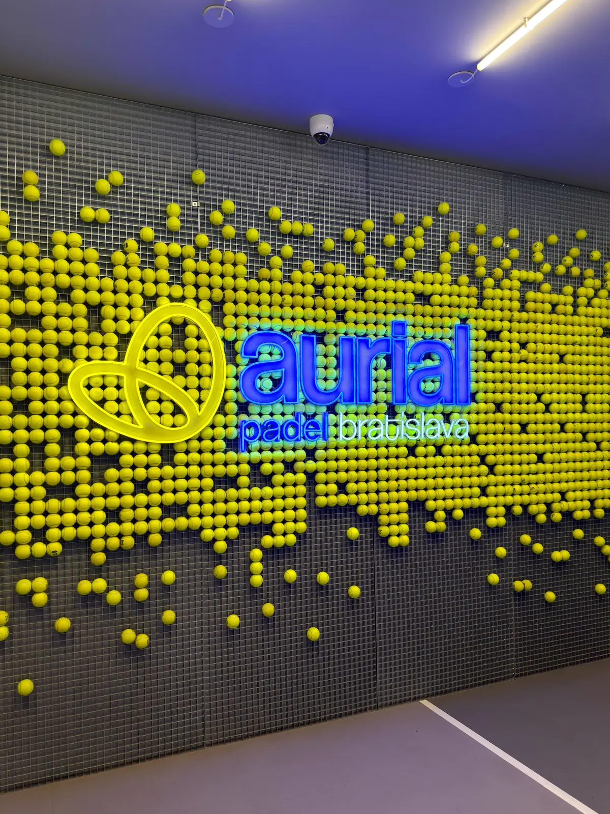 3D logo Aurial — realizace Neonworld